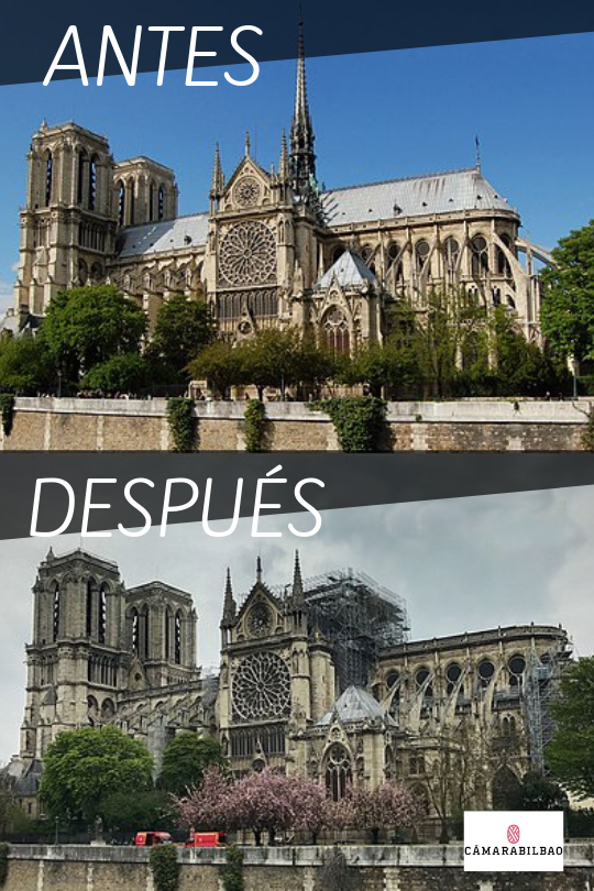 Notre Dame antes y después